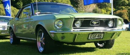 Mustang