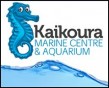 Kaikoura, Accommodation, Bed & Breakfast